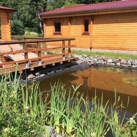 Blockhaus Harzblick Standard Villa Hohegeiß Kültér fotó