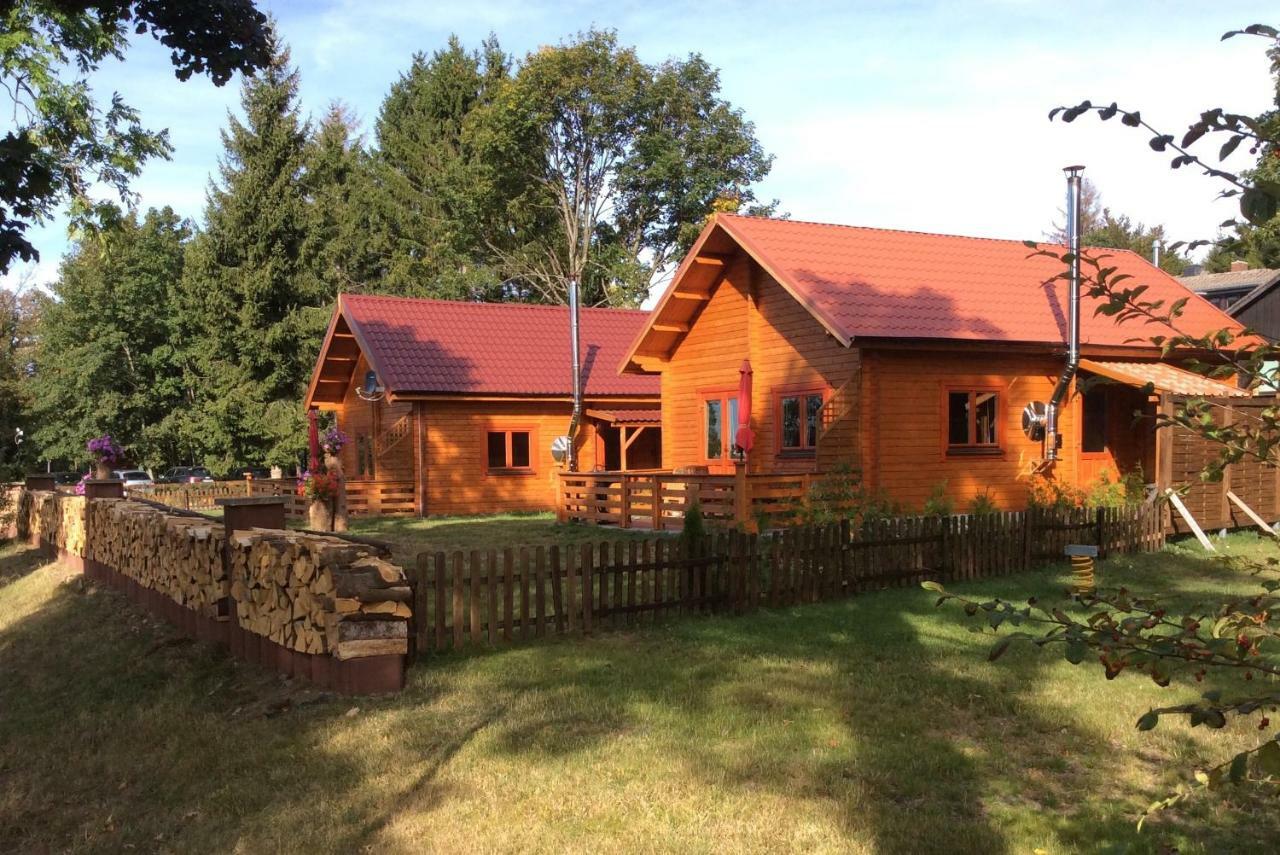 Blockhaus Harzblick Standard Villa Hohegeiß Kültér fotó