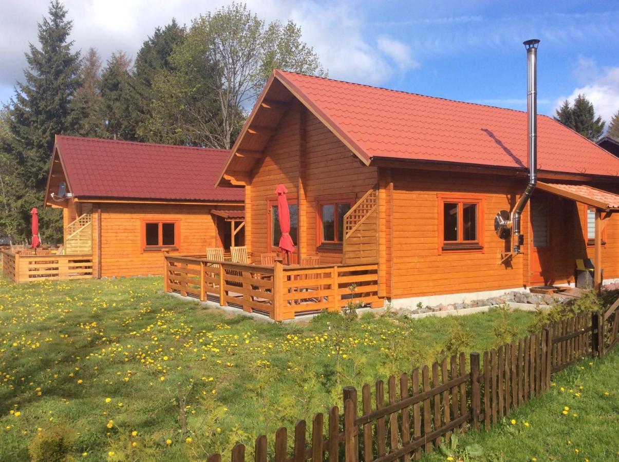 Blockhaus Harzblick Standard Villa Hohegeiß Kültér fotó